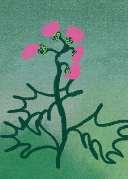 web_Kachel_429x600_ohne Text_02 Distel gemalt